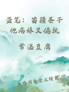 盜筆:苗疆圣子他病嬌又偏執(zhí)